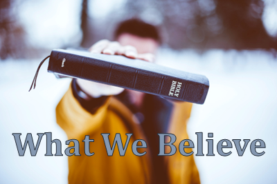 we believe